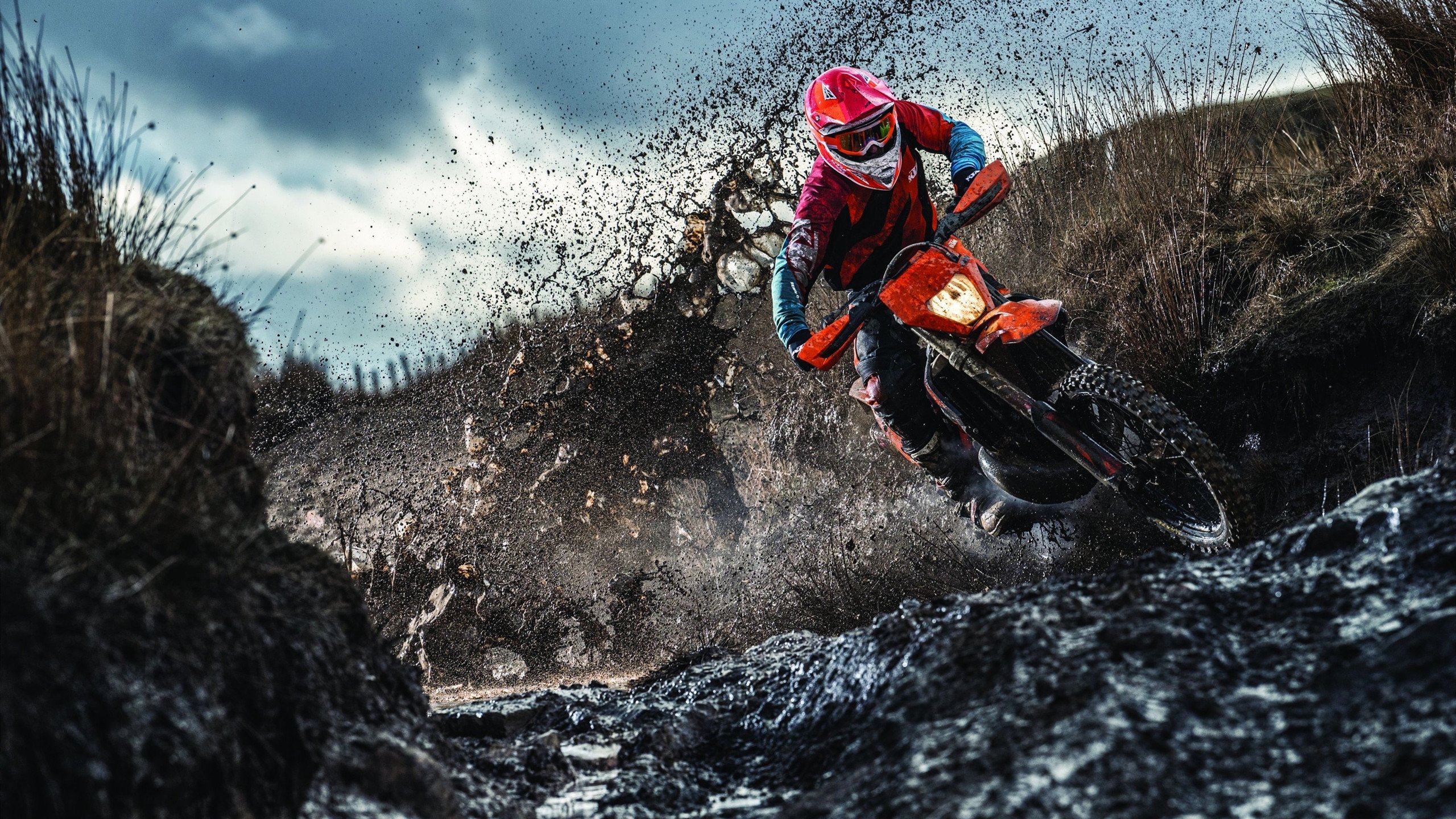 塔图姆带队取胜，广东队战术压制火箭，跨越篮球世界的双重启示